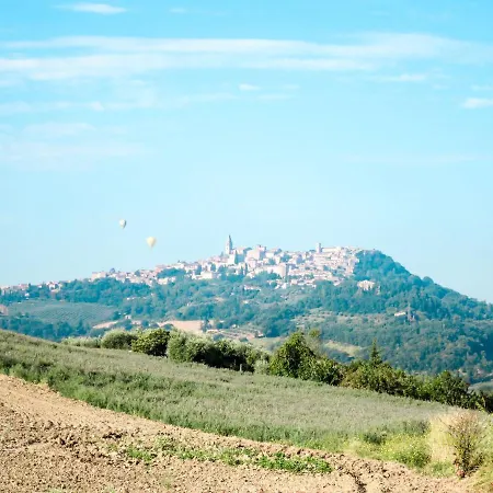 Olivo Secolare By Interhome Castelrinaldi