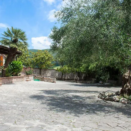 Olivo Secolare By Interhome * Castelrinaldi