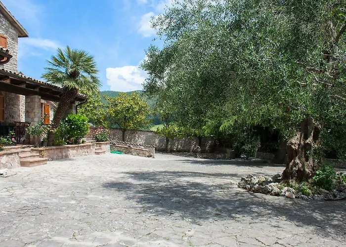 Olivo Secolare By Interhome * Castelrinaldi